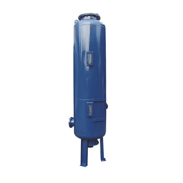 lon Exchanger